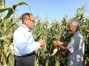 亳州譙城區(qū)紀建立 老驥伏櫪用真情傳遞溫暖