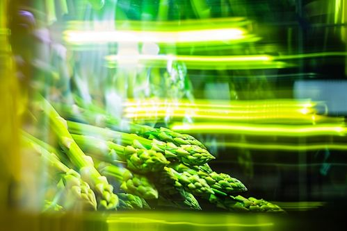 農(nóng)產(chǎn)品成熟營(yíng)養(yǎng)蔬菜蘆筍圖片攝影圖 廣告素材 下載至來(lái)源處