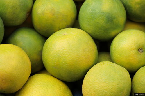 柑橘類水果 水果 食品 植物 葡萄柚 生產 美食攝影圖片圖片壁紙 美食攝影圖片圖片壁紙