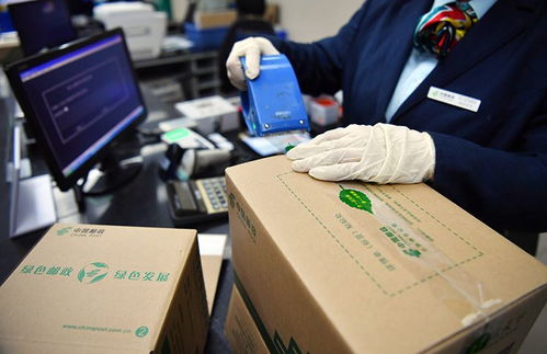 郵政包裝環保升級 從膠帶到紙箱的綠色瘦身之路
